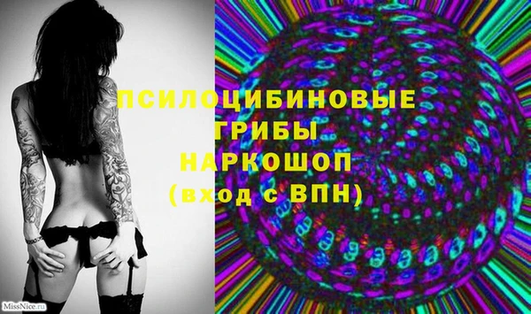 крисы Верхнеуральск