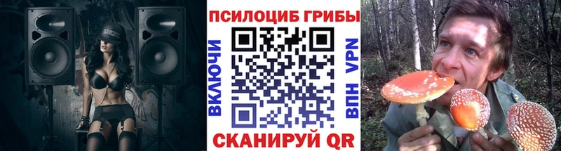 Галлюциногенные грибы мицелий  купить наркотики сайты  мориарти официальный сайт  Щёкино 